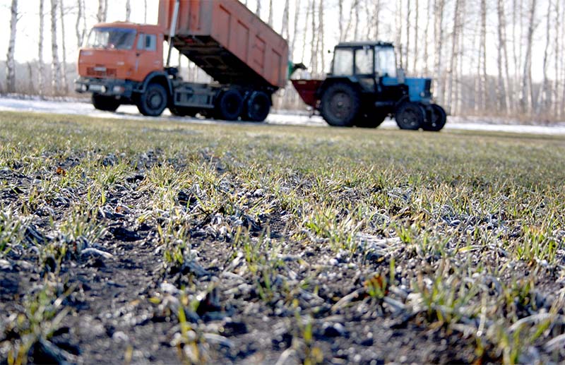 В 17 районах Рязанской области ведутся полевые работы В 17 районах Рязанской области ведутся полевые работы
