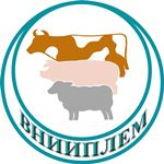 Современное состояние генетики и племенного дела в животноводстве обсудили на Всероссийском совещании Современное состояние генетики и племенного дела в животноводстве обсудили на Всероссийском совещании
