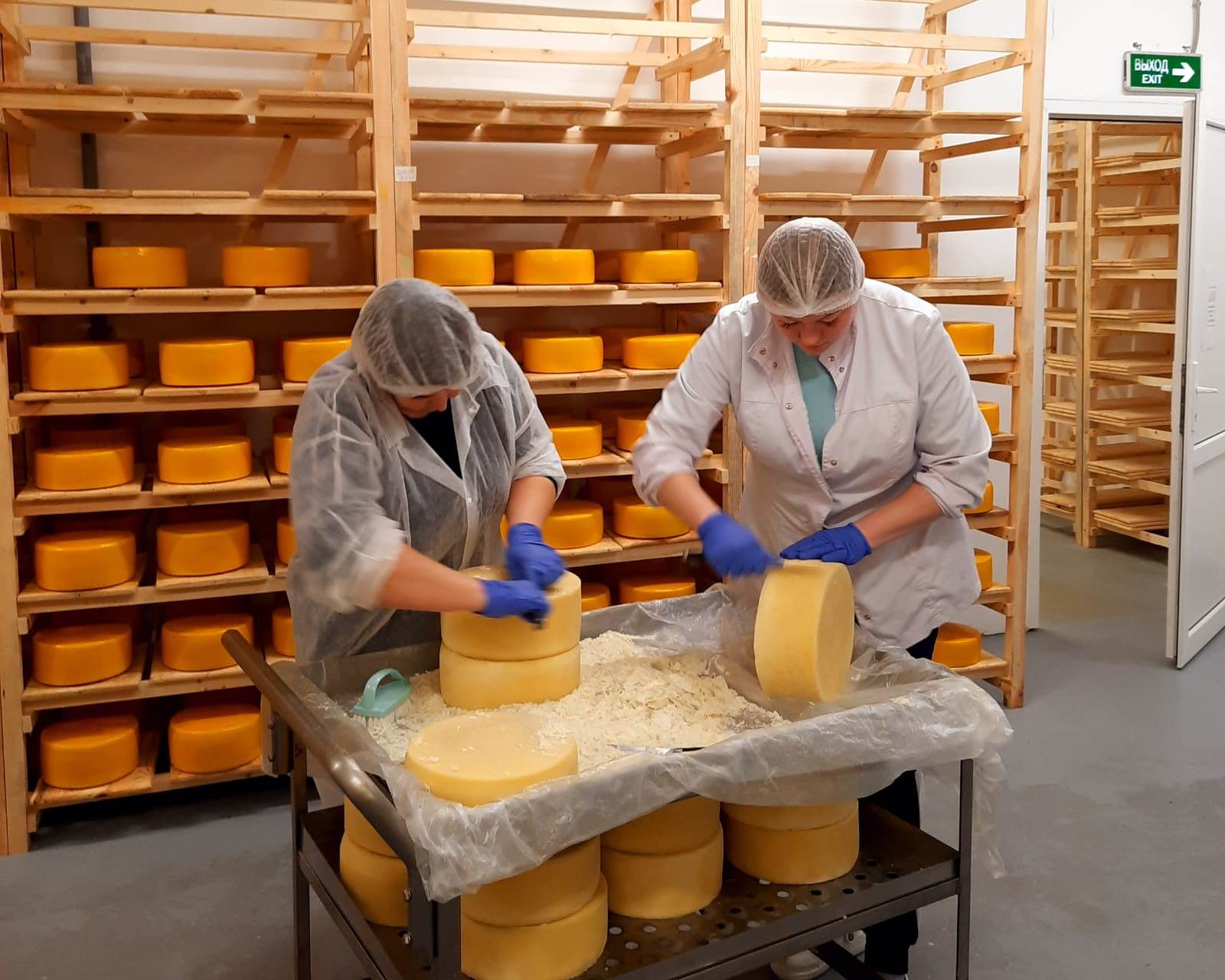 Купить сыр рязань. Производство сыра. Сырное производство. Производители сыра в России. Сыры производство.