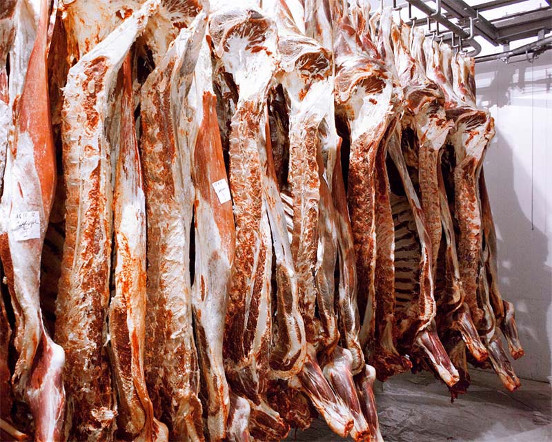 В Рязанской области растет производство мяса