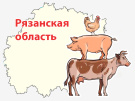 Рязанские животноводы существенно увеличили производство молока, мяса, яиц