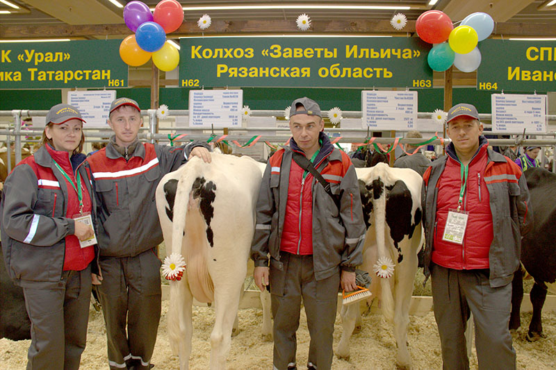 Животноводство и племенное дело Рязанской области на выставке «Золотая осень»