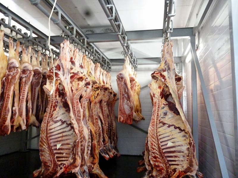 +12,7%: в Рязанской области продолжается рост производства мяса +12,7%: в Рязанской области продолжается рост производства мяса