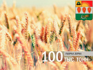 Захаровские аграрии намолотили 100 тысяч тонн зерна нового урожая
