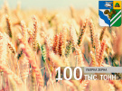 Сасовские аграрии собрали 100 тыс. тонн зерна нового урожая