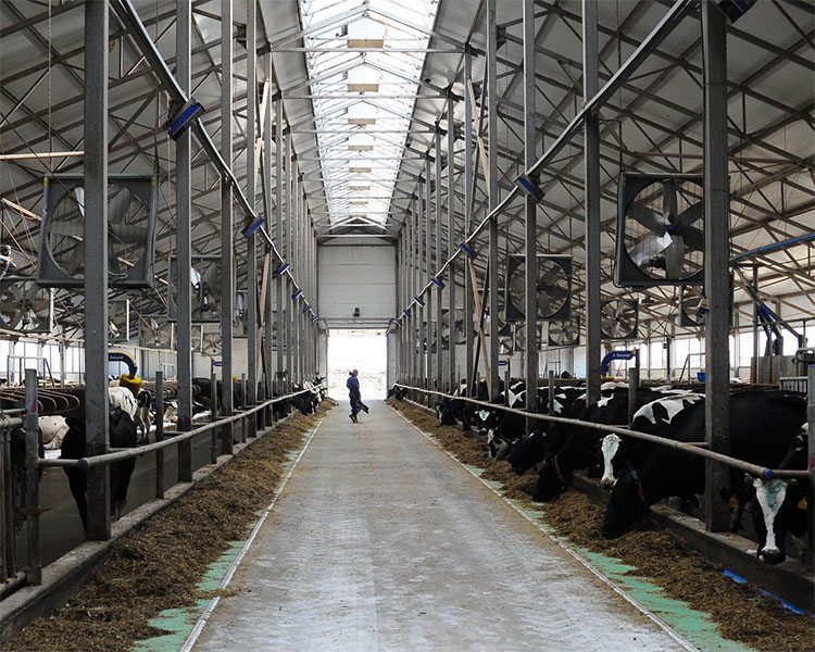 Рязанские предприятия вошли в рейтинги крупнейших производителей и переработчиков молока РФ