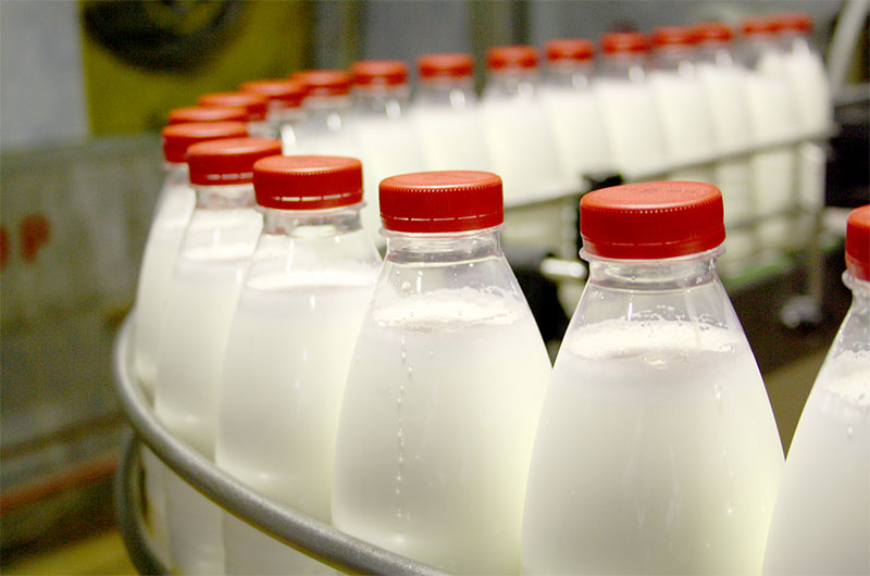 В Рязанской области рынок сырого молока и готовой молочной продукции стабилен