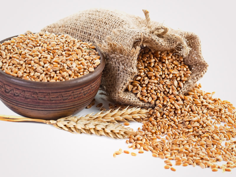 Рязанских аграриев приглашают к участию в торгах зерном на Национальной товарной бирже