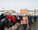 В рязанских ярмарках выходного дня приняли участие 213 товаропроизводителей