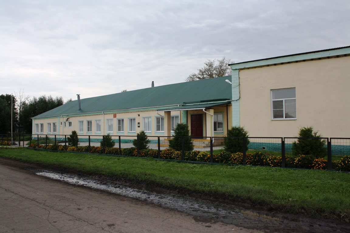 Дома в александро невском. Александро-Невский район Рязанская область. Сергиевский Боровок Александро-Невского района. Село Ленино Александро-Невский район. Село Ленино Александро-Невский район Рязанской области.