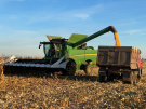 Урожай зерна в Рязанской области превысил прогнозируемые 2,9 миллиона тонн и уборка продолжается
