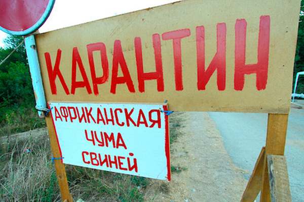 В Сасовском районе сохраняют бдительность в связи с АЧС В Сасовском районе сохраняют бдительность в связи с АЧС