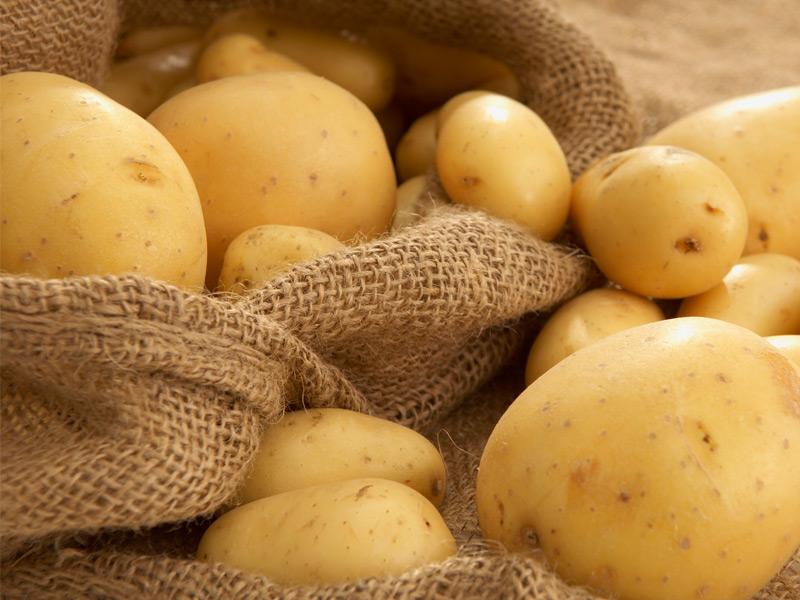 Рязанский регион не только полностью обеспечивает себя картофелем и овощами, но и вывозит их за пределы области