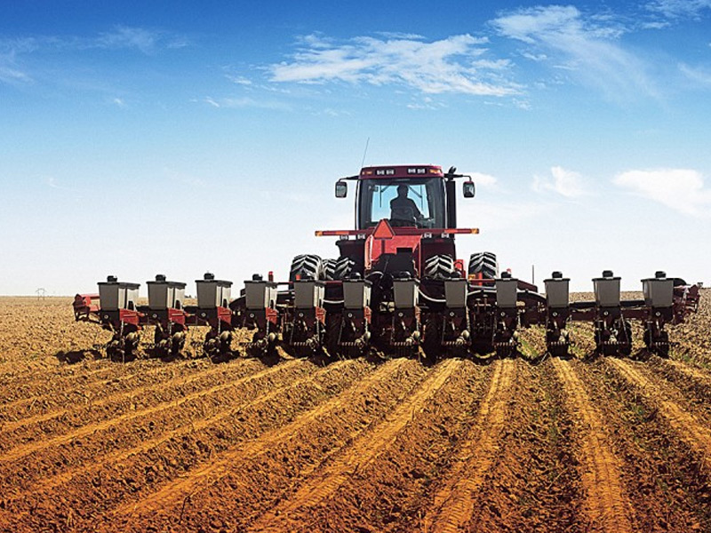 В Рязанской области посеяно 50% яровых зерновых и зернобобовых культур