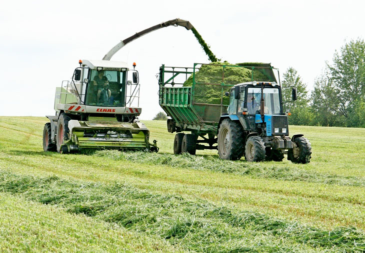 Рязанская область: заготовка кормов