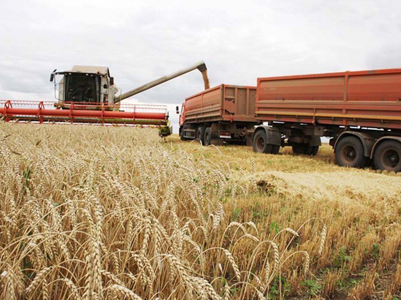 Рост аграрного производства в Рязанской области в 2019 году превысил 16%