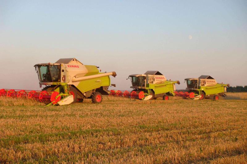 Минсельхоз России: собрано более 13 млн тонн зерна по состоянию на 11 июля