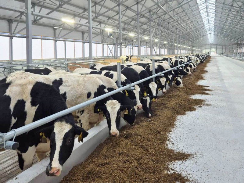 На развитие агропромышленного комплекса Рязанской области в 2025 году направлено почти 44 миллиарда рублей льготных банковских кредитов