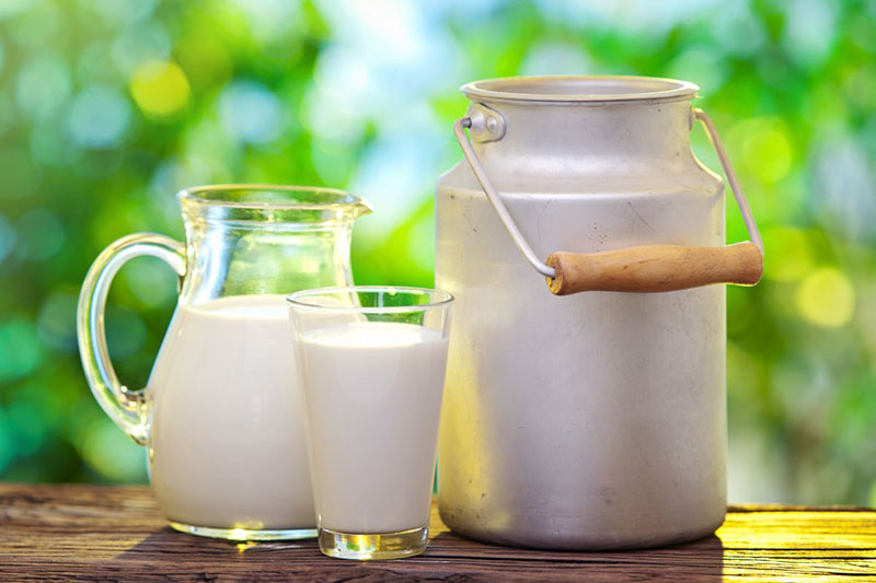 В Рязанской области продолжается рост производства молока