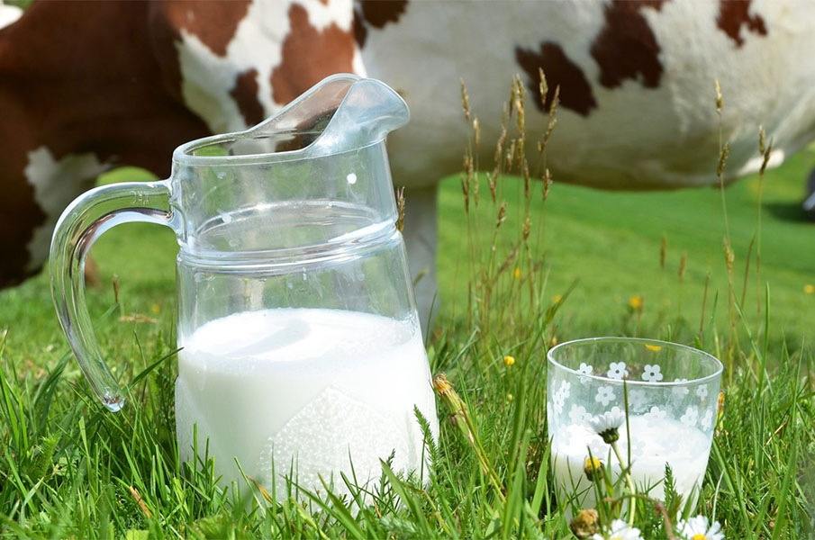 Аграриям перечислено 96% субсидий за реализованное молоко