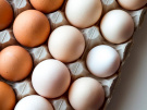 В Рязанской области с начала текущего года произведено 555,8 млн. шт. куриного  яйца
