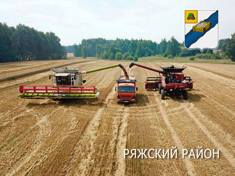 В Ряжском районе получено более 100 тысяч тонн зерна!