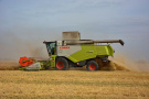 В Рязанской области в самом разгаре уборка пшеницы