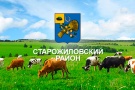 Подведены итоги работы животноводов Старожиловского района за первое полугодие 2016 года