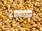 Губернатор Николай Любимов: «Второй миллион тонн зерна – повод для гордости всей Рязанской области»