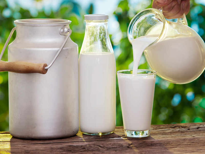 В Рязанской области сохраняется положительная динамика по производству молока