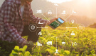 «Агроном Онлайн»: новые возможности спутникового мониторинга и аналитики – для оптимальной организации растениеводства