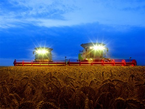 Уборочная кампания в Рязанской области: намолочено 300 тысяч тонн зерна