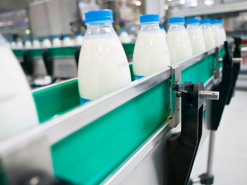 Сельхозпредприятия РФ более чем на 3.5% нарастили производство молока