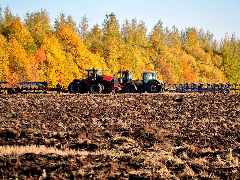 На полях Рязанской области продолжается уборка урожая
