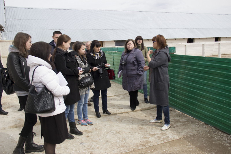 В Рязанской области готовят итальянские сыры и выращивают кур с чёрным мясом