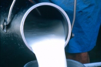 В Скопинском районе начал работу новый молочный завод