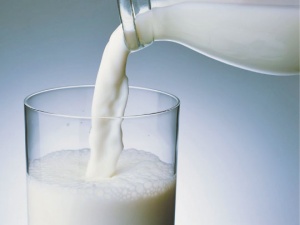 Рязанские переработчики приняли участие в конференции по вопросам регулирования рынка молока Таможенного союза