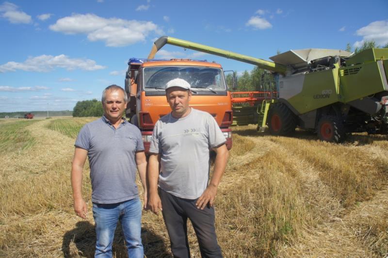 Доброму урожаю – добрая уборка Доброму урожаю – добрая уборка