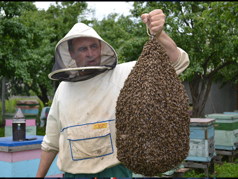Специалисты АО «Рязанская пчела» советуют: пчеловодам нельзя расслабляться