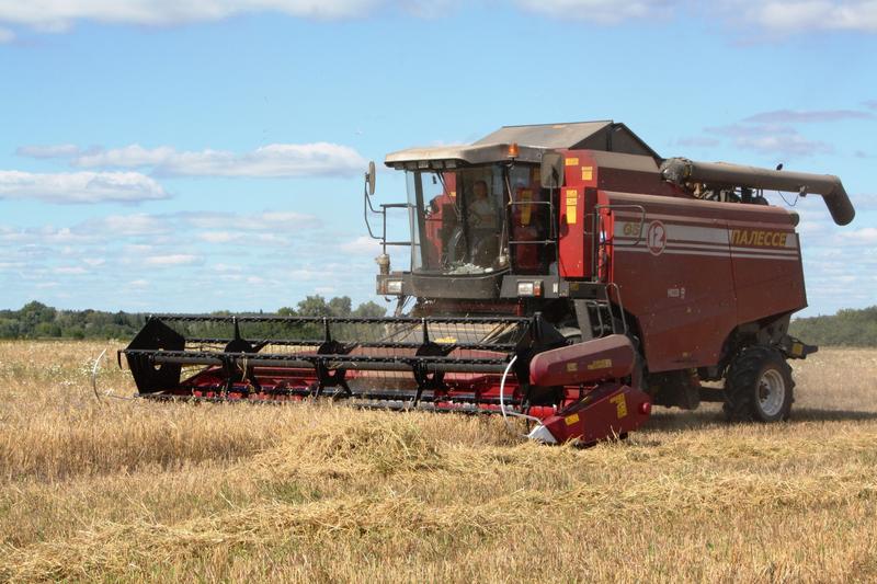 В Рязанской области убрано более половины площадей зерновых культур