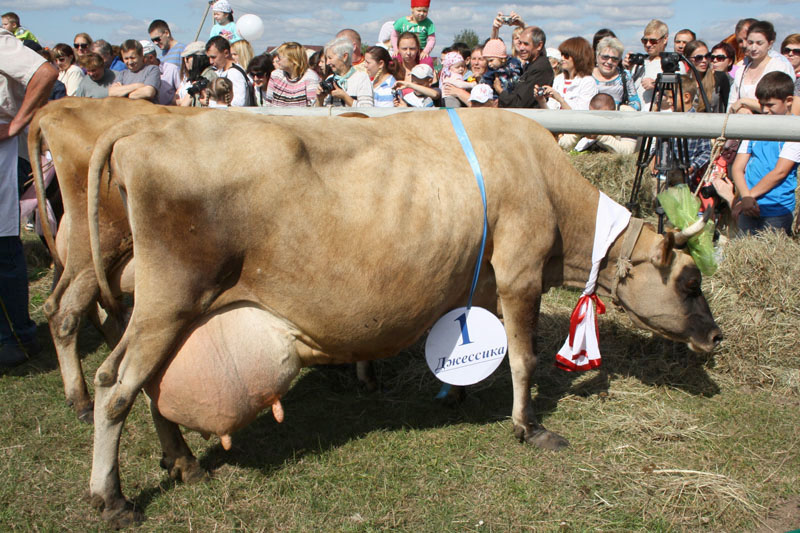 pr_milk_4.jpg