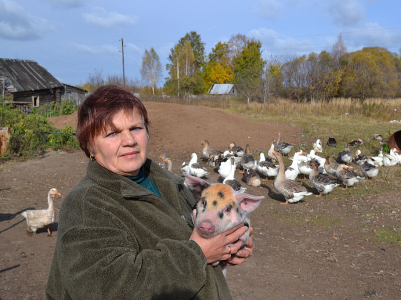 глава ЛПХ Студеникова Светлана Владимировна – Оськинское сельское поселение