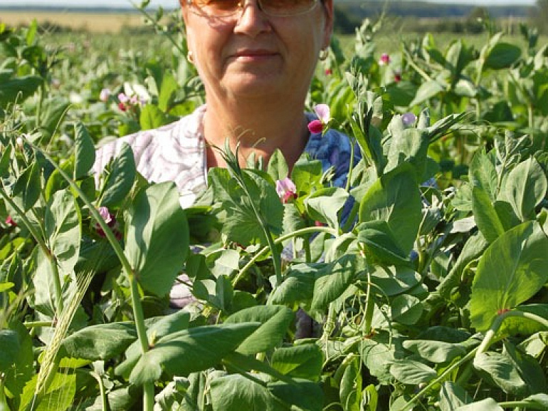 Татьяна Михайловна Наумова – председатель колхоза им. Ленина»